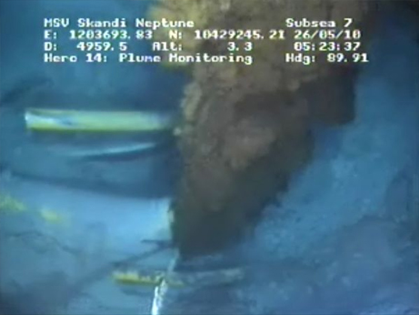 バルディーズ号事故の生態系被害額の算定国内外の経済価値評価事例