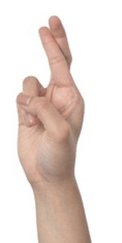 fu꒰⑅•ᴗ•⑅꒱ on X: 