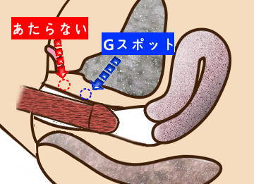 Gスポット開発とは？場所と位置の見つけ方 - 夜の保健室