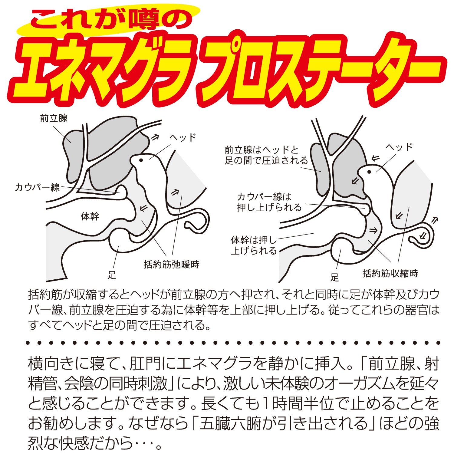 エネマクラ] 「ヌキヌキの実」の能力者 (ワンピース)