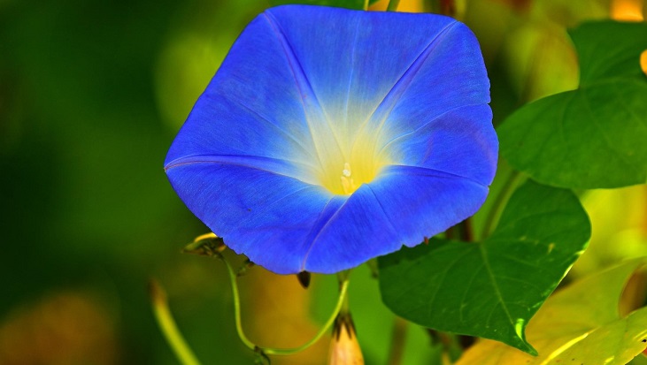 結びの挨拶」ビジネスメールに生かせる「基本」と、「季節・月ごと」の一覧でご紹介します！Precious.jp プレシャス