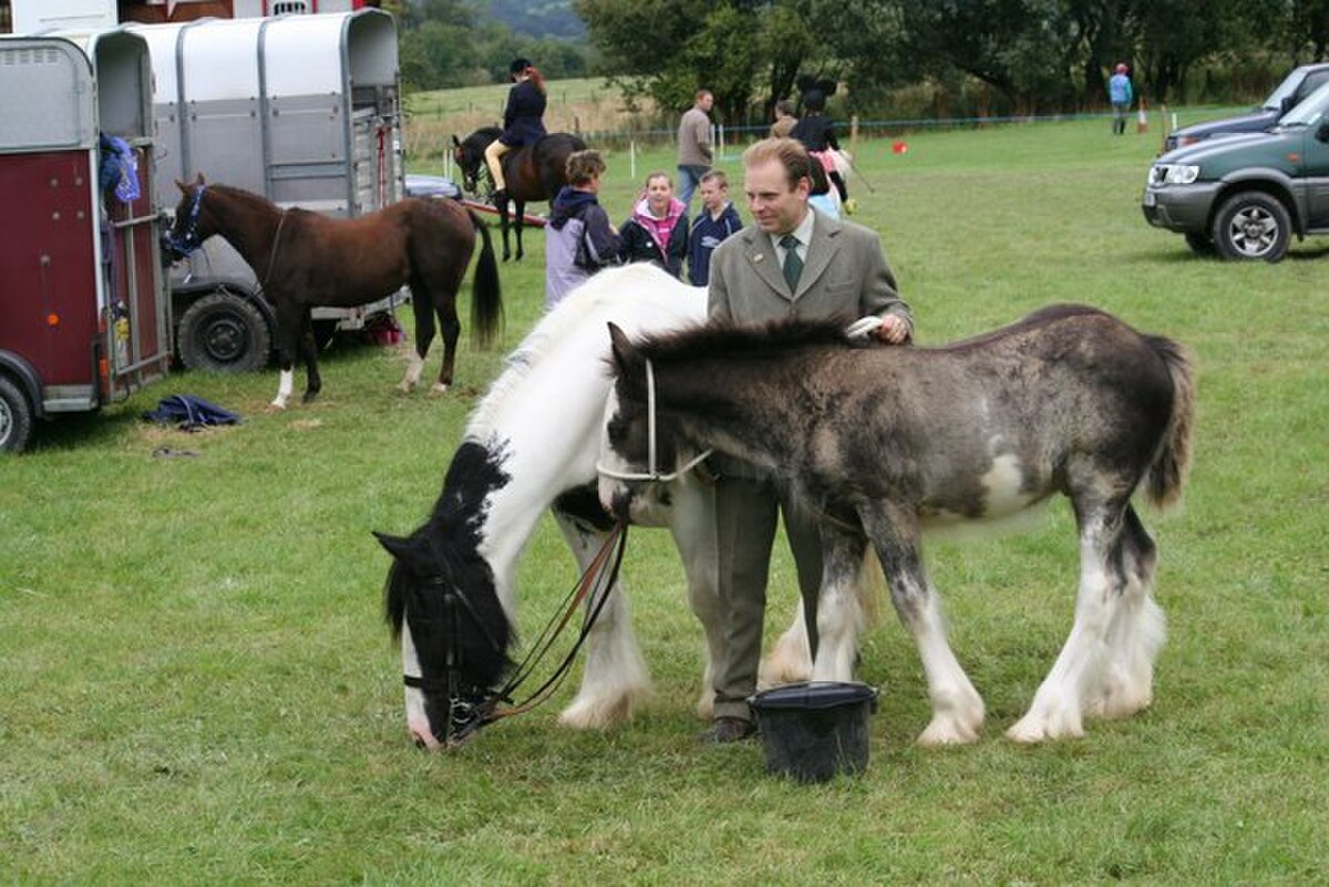シュタイフ ジプシーバナーホース 28cm EAN070181