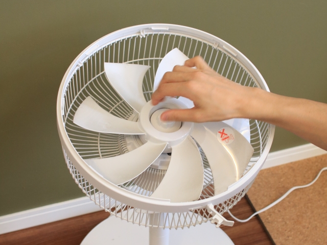 扇風機の掃除をしよう！ 必要な道具と方法サーキュレーター併用でさらに快適に - ＋1 Day