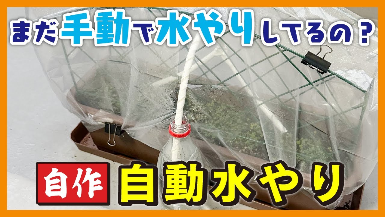 自動灌水システムを最終的に自分で構築した話。: 橙猫通信