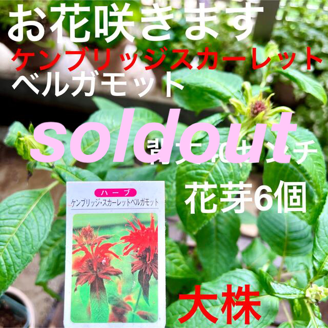 ケンブリッジフィルターサービス株式会社