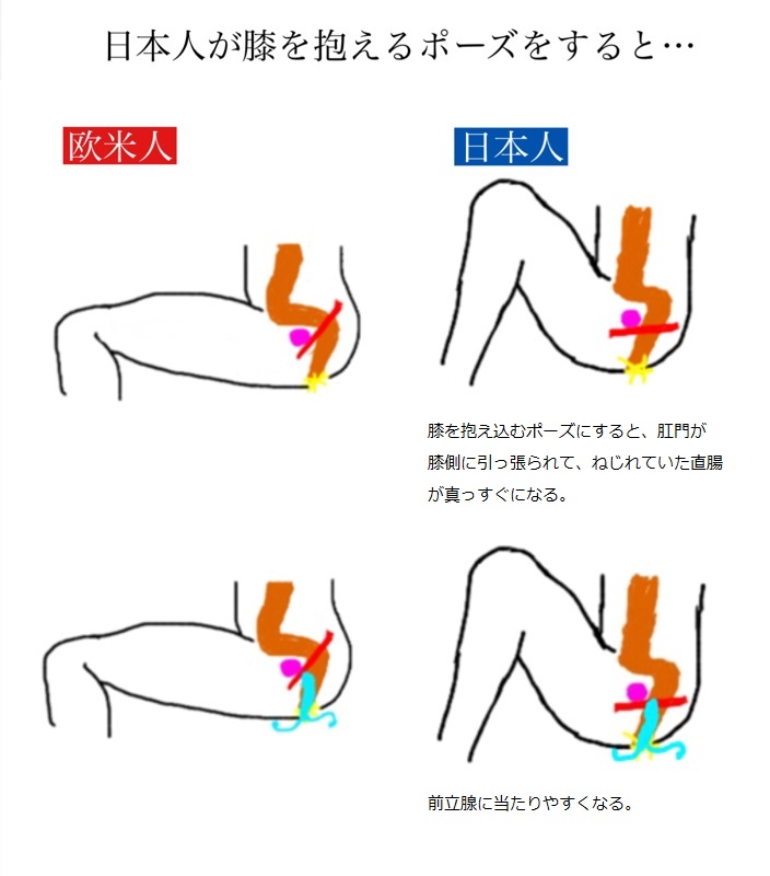 メスイキの体位（自分用のメスイキの体位図です） - ドライオーガズムの体験日記｜女になって犯されてみたい・・