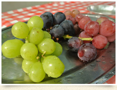 シャインマスカットの季節』by kazuhiko1010 : 阪本農園 - 勝沼ぶどう郷 売店食べログ