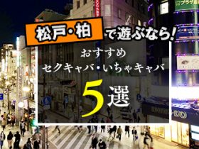 八千代市近くのおすすめセクキャバ・おっパブ・デリヘル嬢 | アガる風俗情報