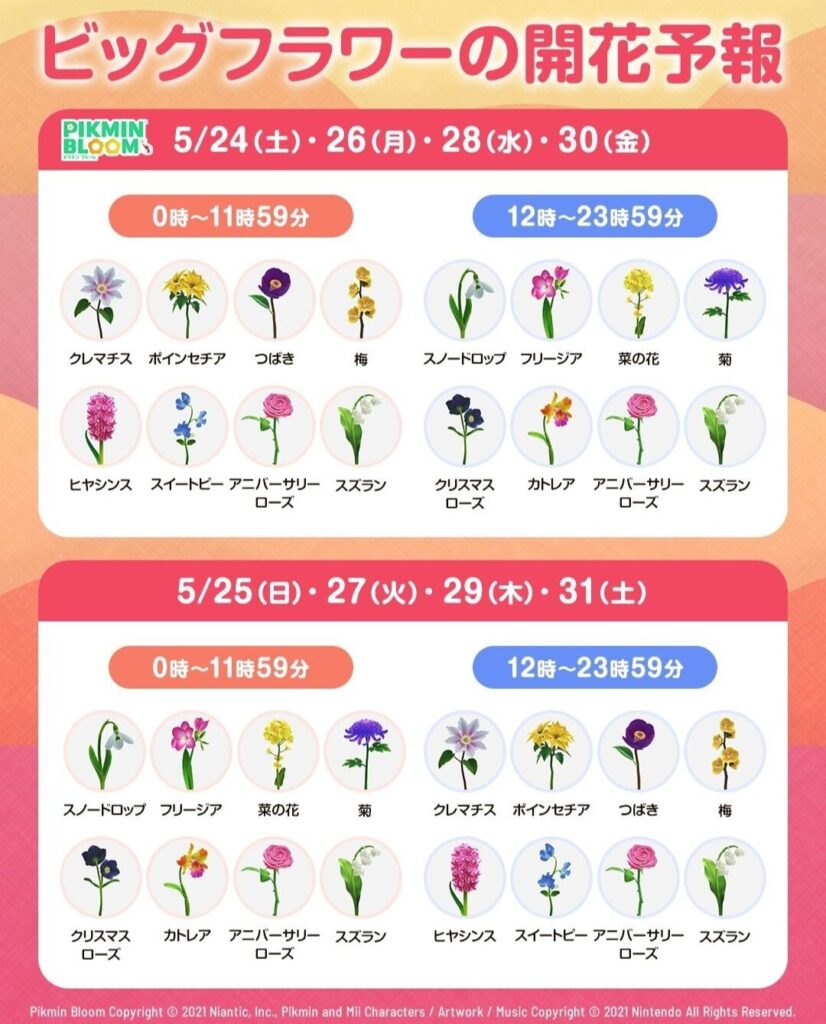 ご案内 Weverse Pick-up 会場受取 サービス案内