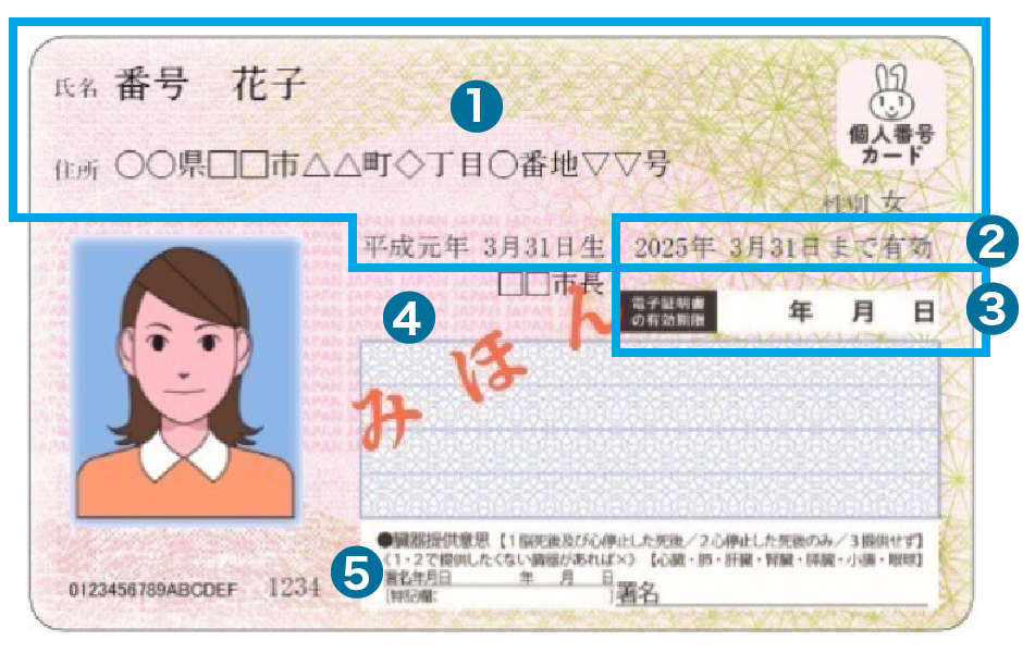 10年使える「マイナンバーカード」、証明写真機でキレイに撮影&かんたん申請・更新マイナビニュース