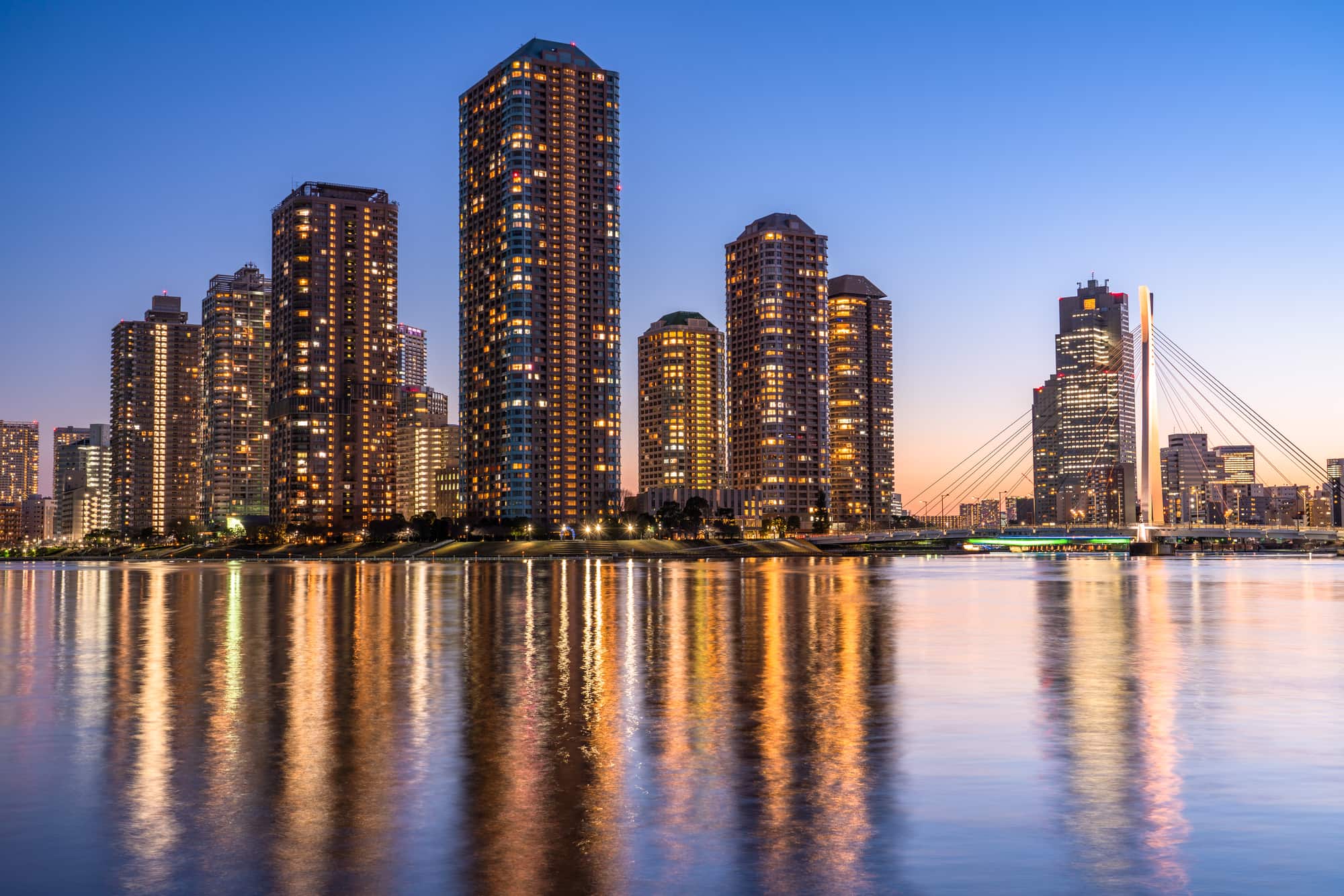 佃煮と甲斐国の数奇な縁八ヶ岳ゆるふわ日記