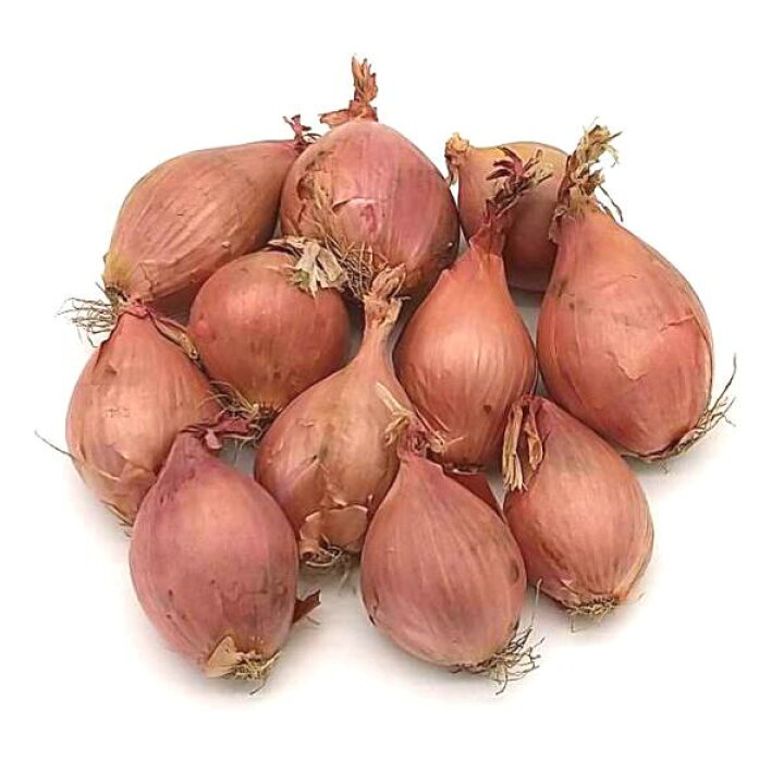 北京八達嶺長城&頤和園&圓明圓1日遊 探秘皇家園林+感受長城雄偉氣勢+見證中國古建築群+世界文化遺產+優質導遊服務+北京往返- Klook 客路