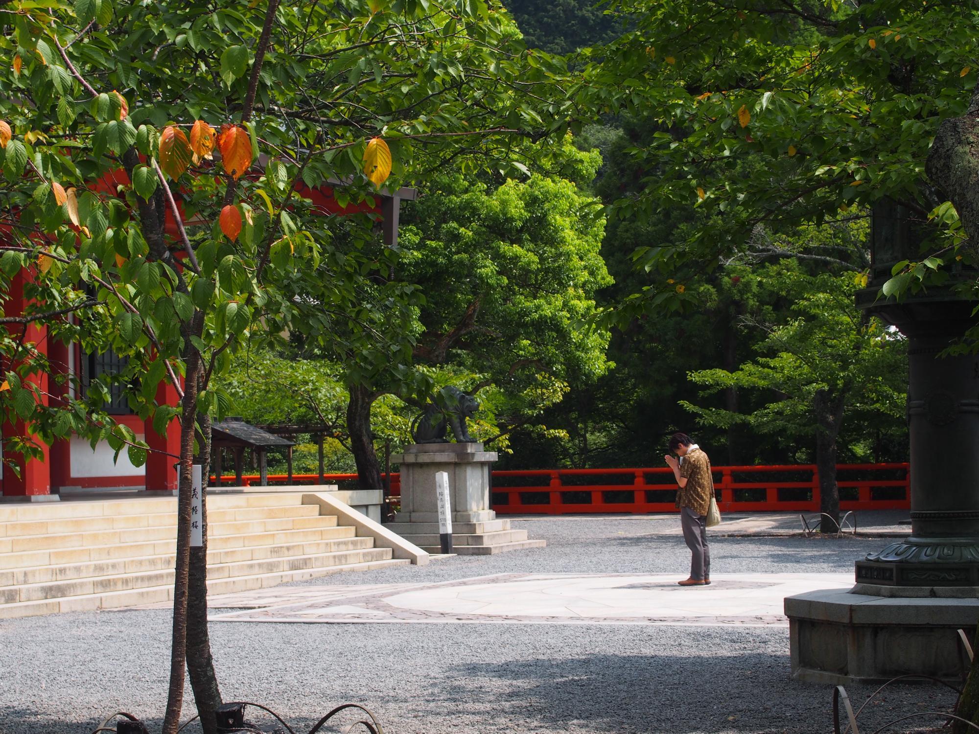 とっておきの京都】避暑地「大原の里」でのんびり観光 (2019年4月26日) -