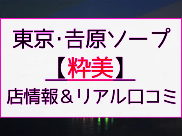 東京・吉原の高級ソープをプレイ別に10店を厳選！NS/NN・オナニー・即尺の実体験・裏情報を紹介！ | purozoku[ぷろぞく]