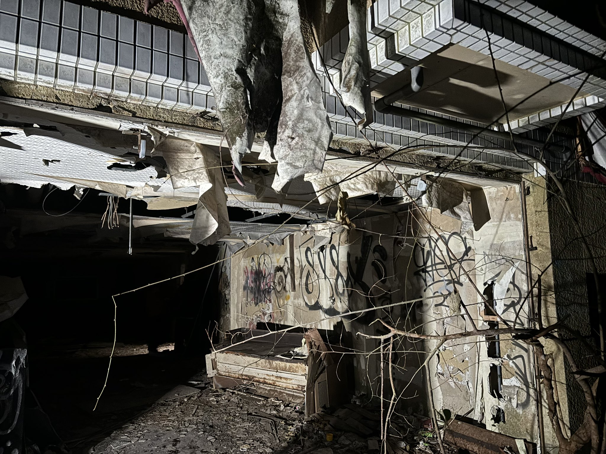 ぶらり♪：新山下「活魚千葉屋」 昼限定 刺身定食話題, 横浜みなと新聞カナロコ by 神奈川新聞