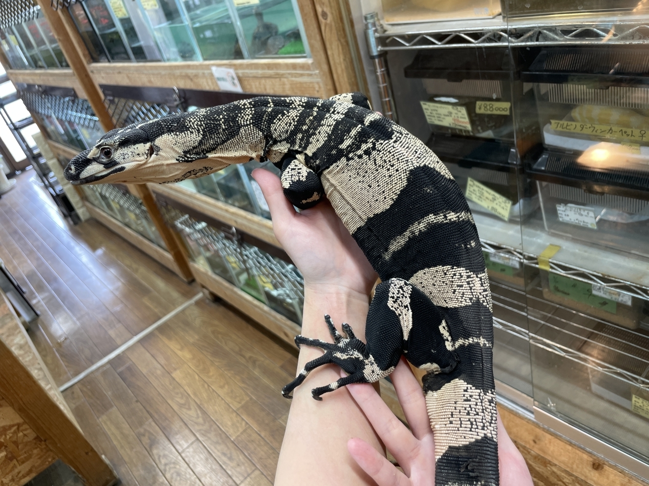 ROOM903 フラワーエンブロイダイアリードレスALL ITEMROOM903 online