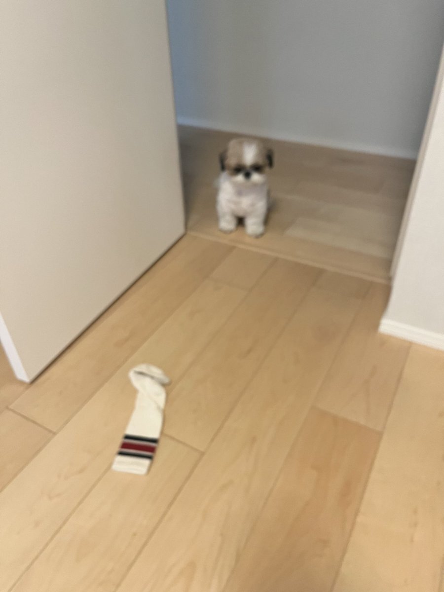 2024年7月16日 火Snow Manニュースまとめなべラウ「ViVi国宝級イケメンランキング」ランクイン！ラウール・めざましテレビプレゼンター2回目SnowManスノ情報まとめSnow Man最新情報「asuMedia アスメディア 」