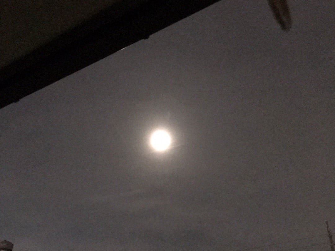 櫻葉 人気記事 一般 アメーバブログ アメブロ