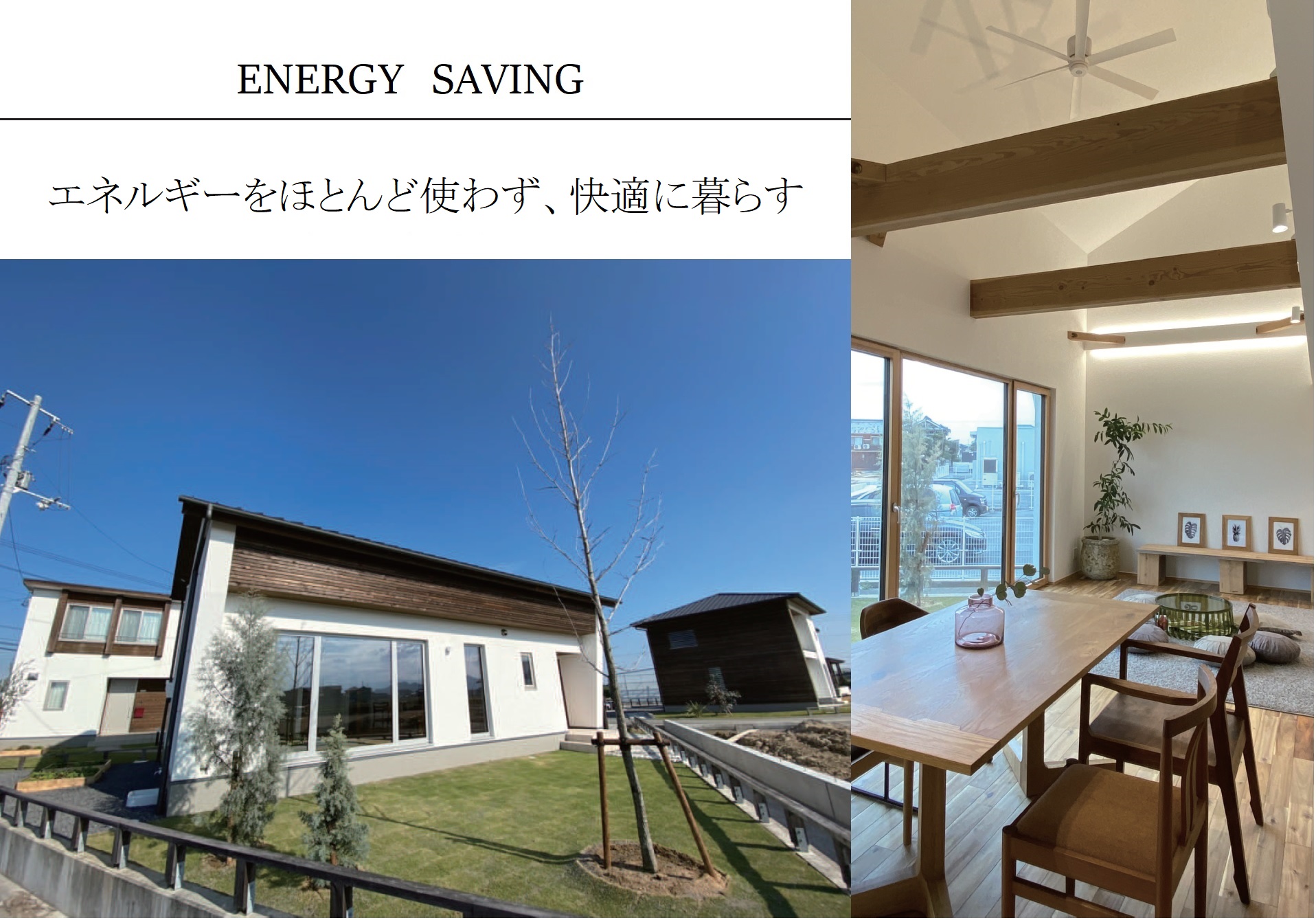 パッシオパッシブ通信PASSIO PASSIVE