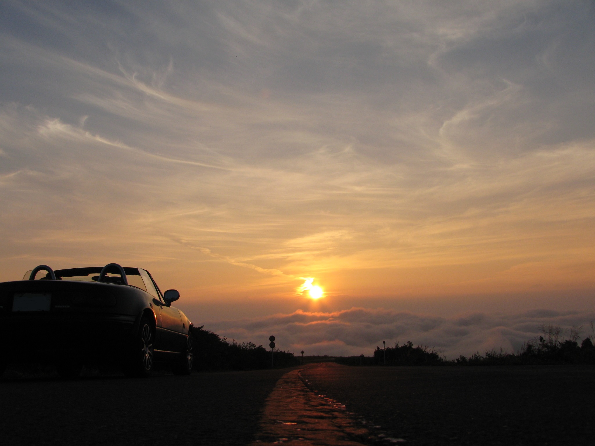 楽天トラベル:駒草平 たびノート