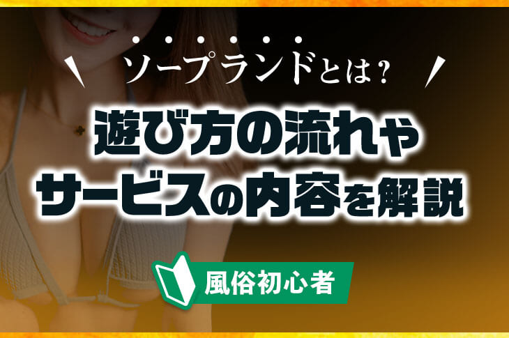 愛知（名古屋）のソープ全９店舗！NN・NSできるか知る人ぞ知る最新情報！ - 風俗の友