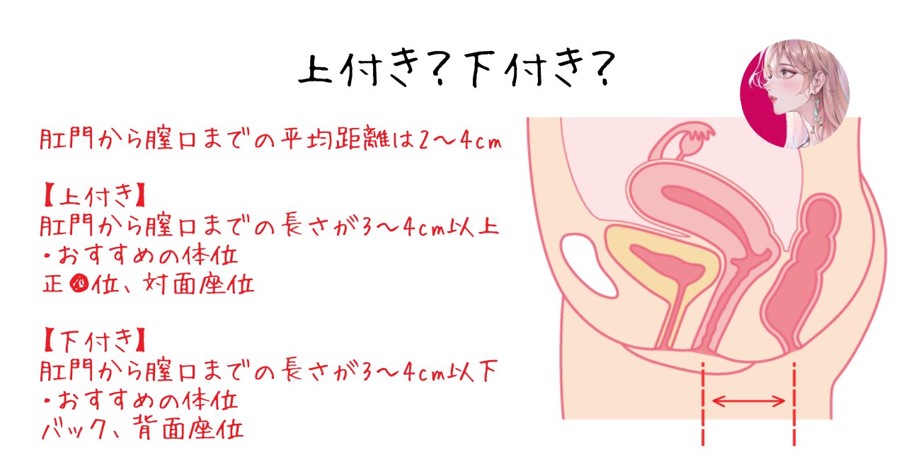 座ってする座位のバリエーション8選 - 夜の保健室