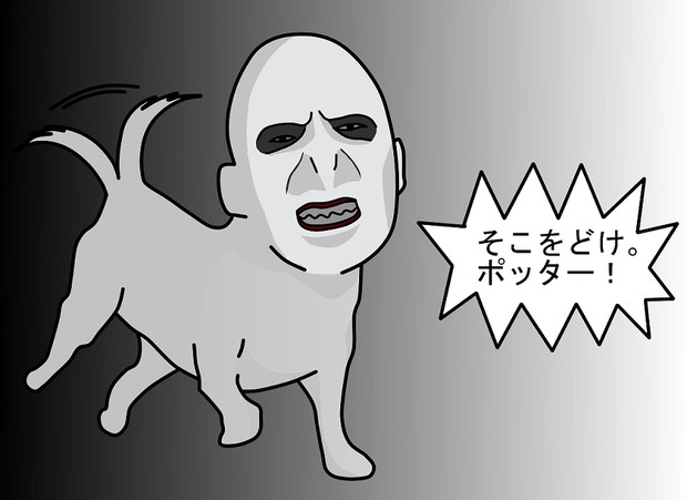 名言 - 運命よ、邪魔だ、そこどけ。俺が通る。マイケル・ジョーダン名言おはようございます。 meigenn名言ページhttps:www.facebook.com meigenn1Facebook