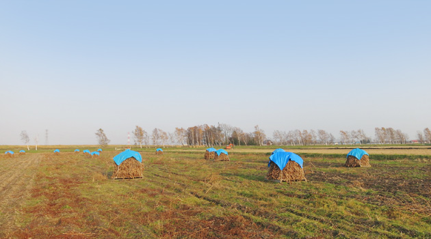 豆腐愛好家らがツアー企画「豆腐で巡るはこだて」 豆腐店と大豆農家巡る - 函館経済新聞
