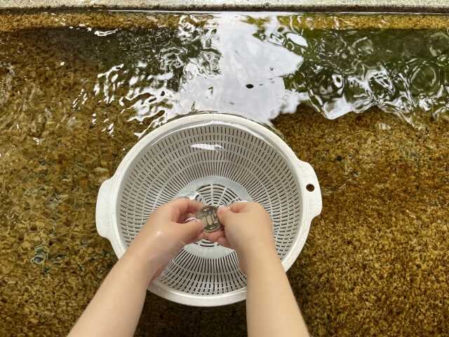 小銭の洗い方とは？素材別の洗い方や注意点、高価買取のコツも解説うるココ