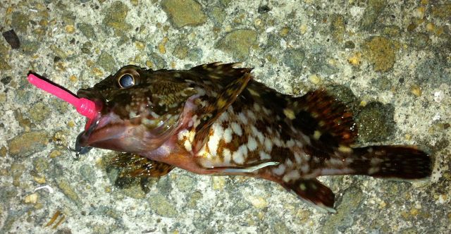 代々木 らすた 濃厚激ウマ家系ラーメンを食す！東京屈指の一杯は凄かった