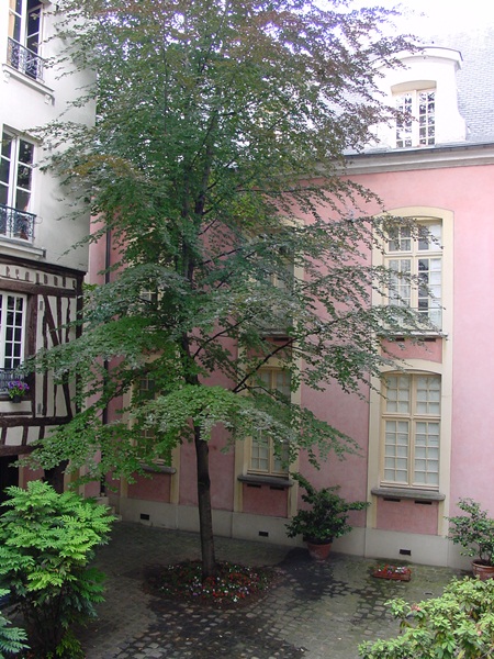 余白と暮らす新生活。パリを感じるリノベ賃貸、東京にありました