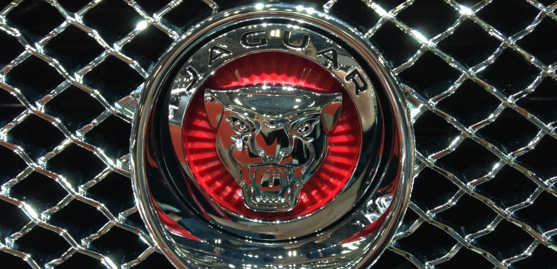 L‐hotse ねこ 猫型 3D メッキ エンブレム 車 ステッカー のパーツレビューキャストスポーツ うみ18みんカラ