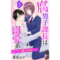 ドS男子と溺甘カレシ～彼には言えない秘蜜の夜～【電子単行本版】２巻|鳴沢きお|大都社／秋水社| 無料マンガ・コミックを読むなら - コイコミ