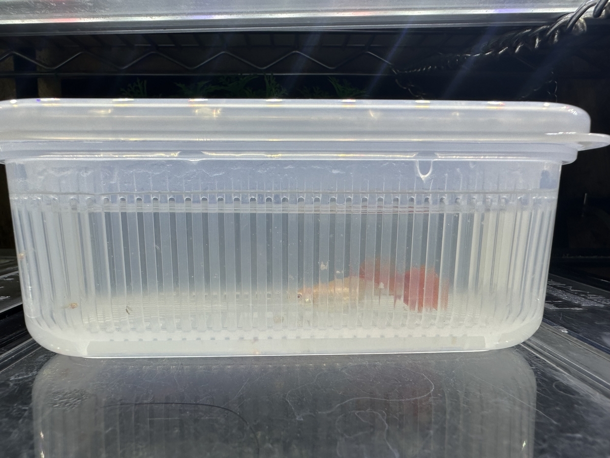 100均検証 セリアで買った「とにかく洗いやすい保存容器 楽ちんパック 」が予想以上にスゴかった！ロケットニュース24