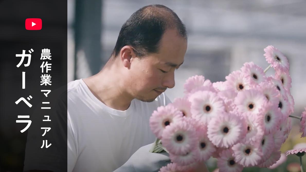 JAあいち豊田 農業×求人ＪＡあいち豊田