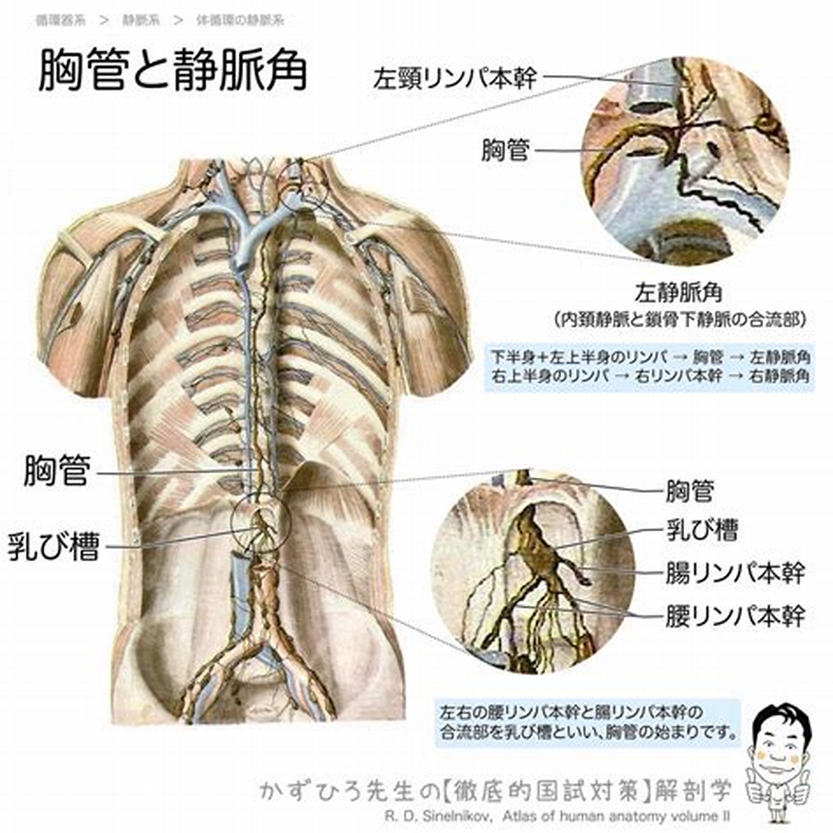 爆サイ口コミまとめ】秋葉原 