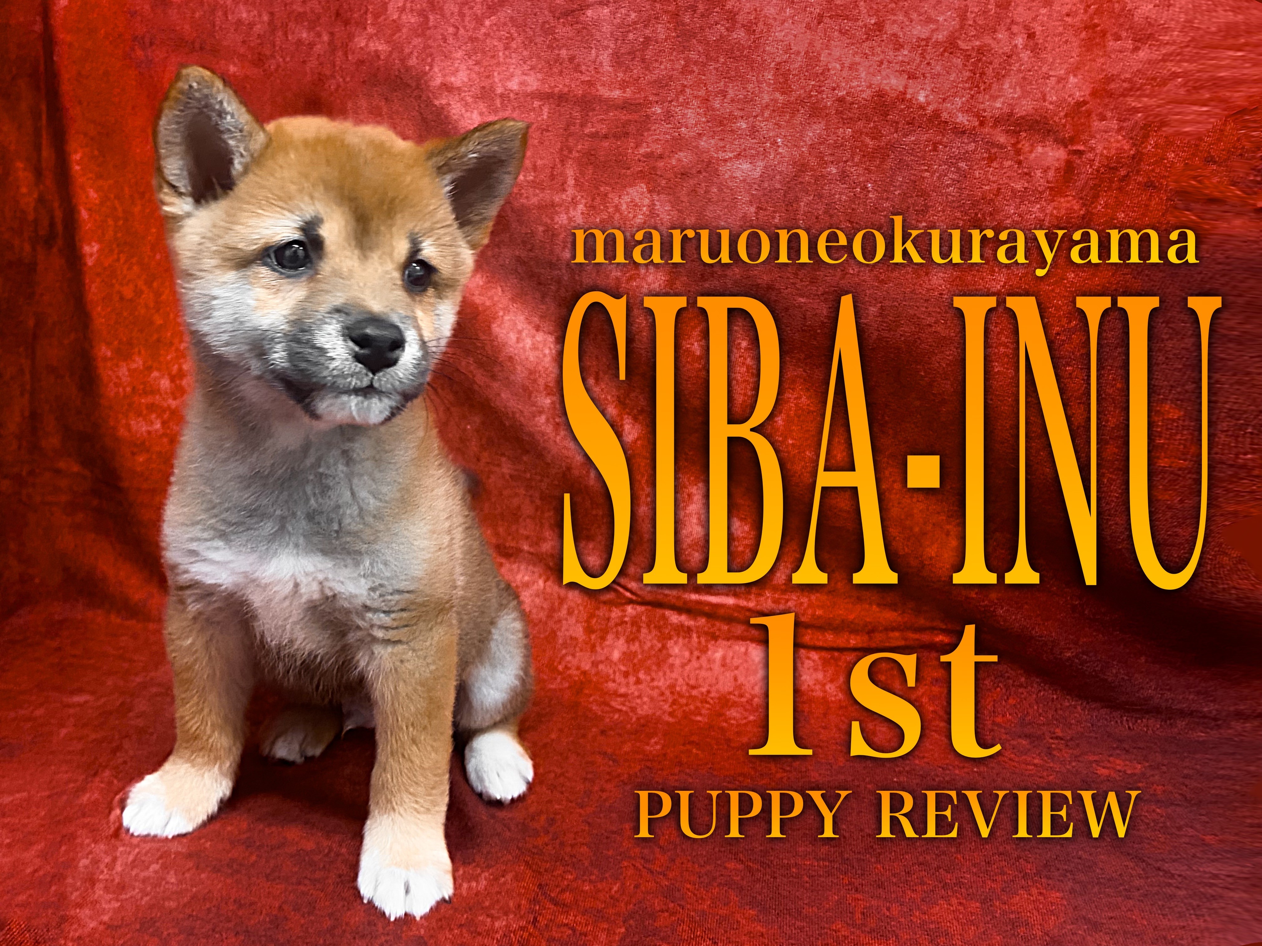 髭脱毛のダウンタイムを乗り切る7つの方法 - ハートライフクリニック 静岡県浜松市の美容皮膚科・美容外科