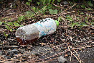 路上でのポイ捨てに最高5000円の罰金を検討社会- VIETJOベトナムニュース