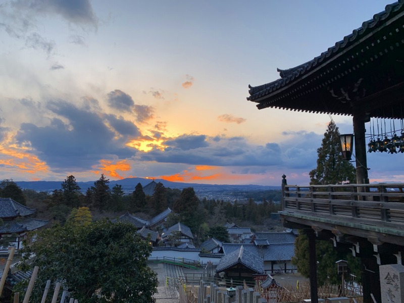 スマホで何とか頑張りましたw 今年も大仏蛍が飛び始めました✨Facebook