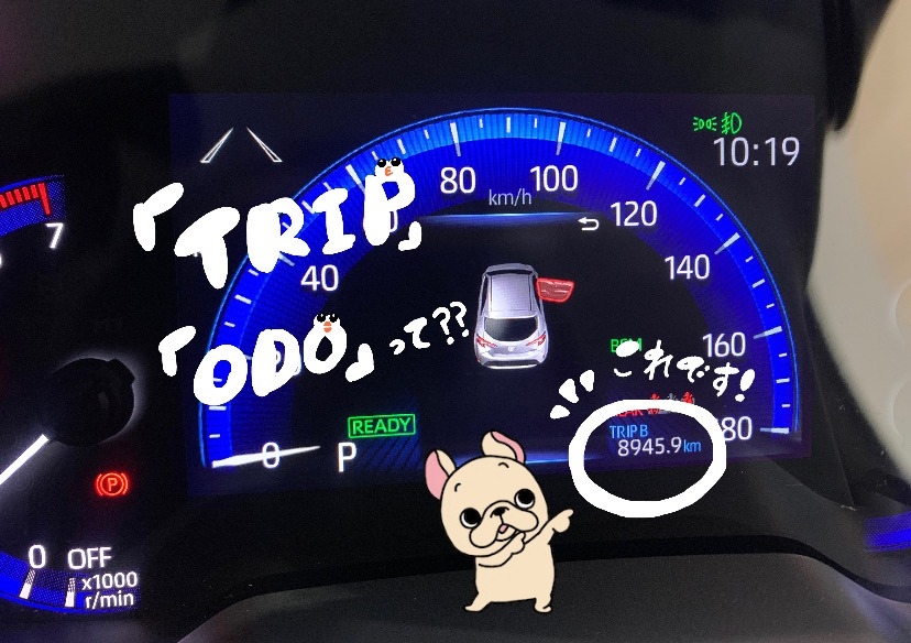 スピードメーター？の見方がわかりません。私が通っている教習所- Yahoo!知恵袋