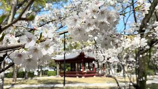 渝華園 クチコミ・アクセス・営業時間広島市 フォートラベル