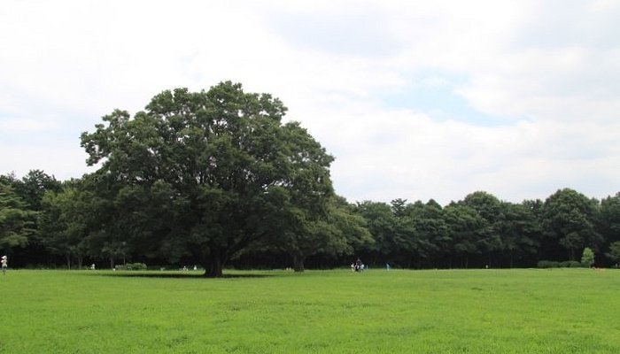 芹沢公園を散策 - 飲んでもブログ