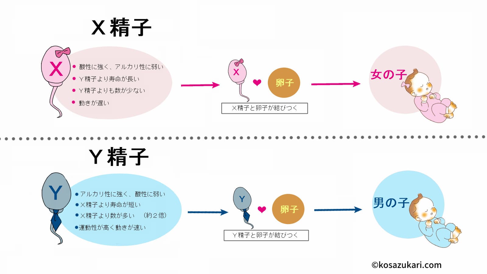 無精子症とは ｜ 男性不妊・メンズヘルス診療 プライベートケアクリニック東京