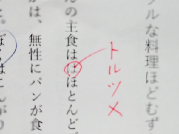 トルツメ校正記号毛だま