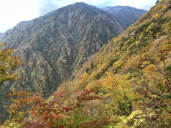 胎内市にて「日立稲荷祭 」に出演しました！ | 箏・尺八二重奏「薫風之音」