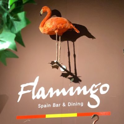 2月イベント ブレイキングFlamingoダウン 2月7日勝者 #フラミンゴ #錦