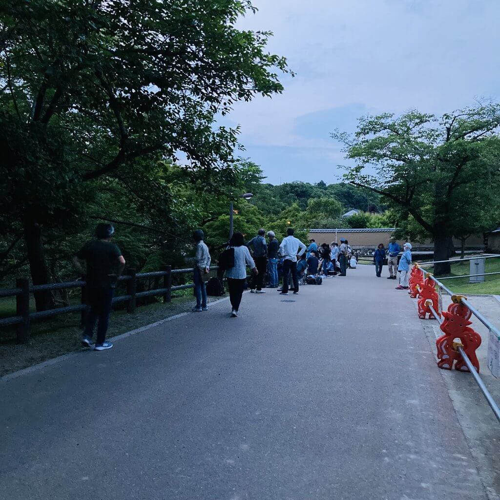東大寺の大仏蛍を見るのに一番近い駐車場: 奈良に遊びに来て下さい