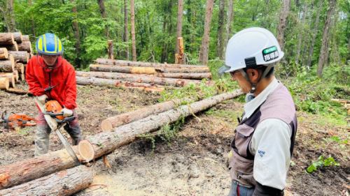 舗装や下水道工事メインの土木作業スタッフの募集要項 - 株式会社中原建設 採用サイト