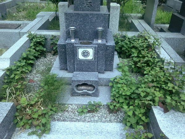 お墓選びの失敗談3選後悔しないために知っておくべき注意点とは市原市のお墓・墓石のことなら 大地石材