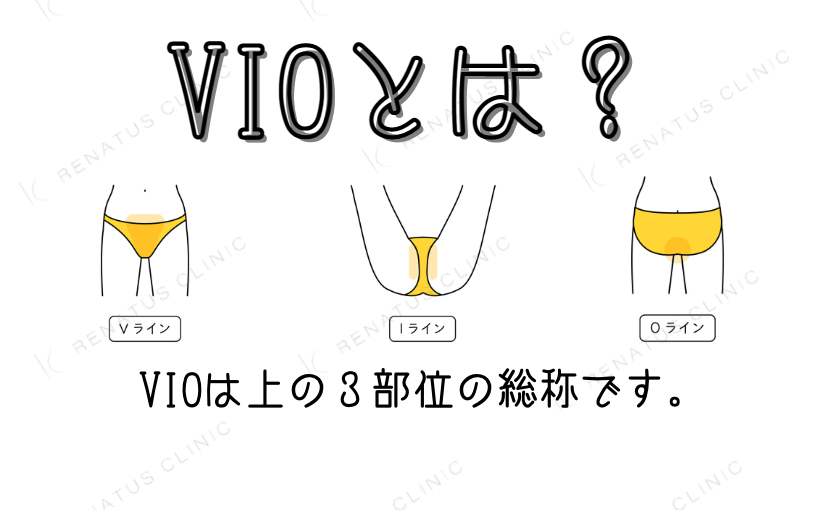 ハイジニーナ、パイパンとは？後悔とやり方 - 夜の保健室